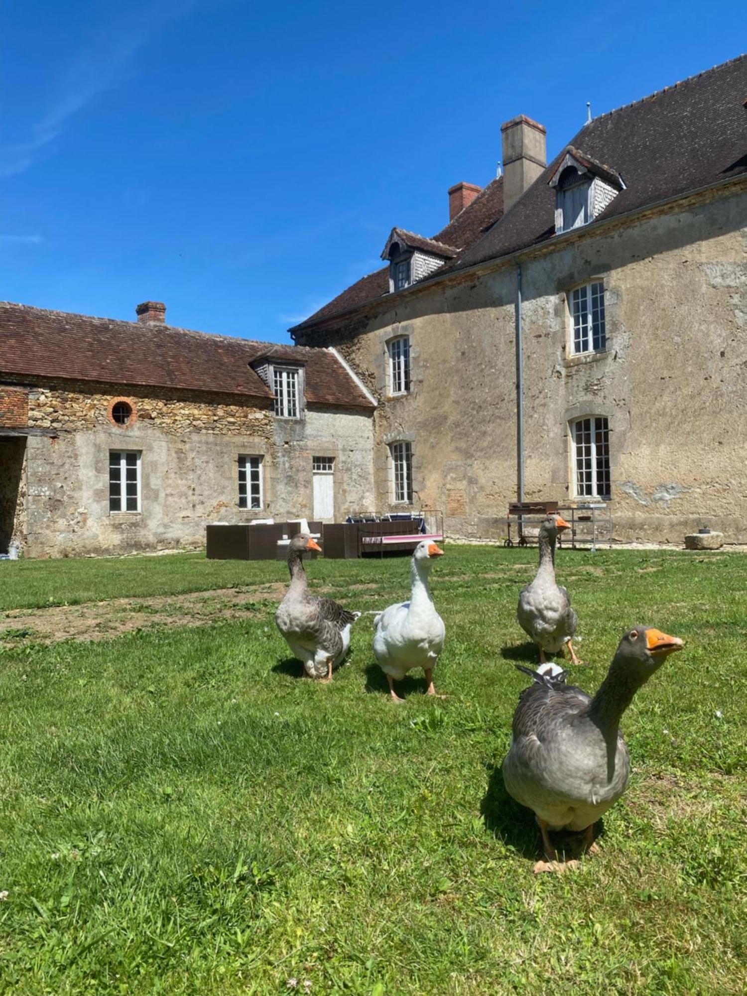 Chateau De Grandsagne Bonnat Bagian luar foto
